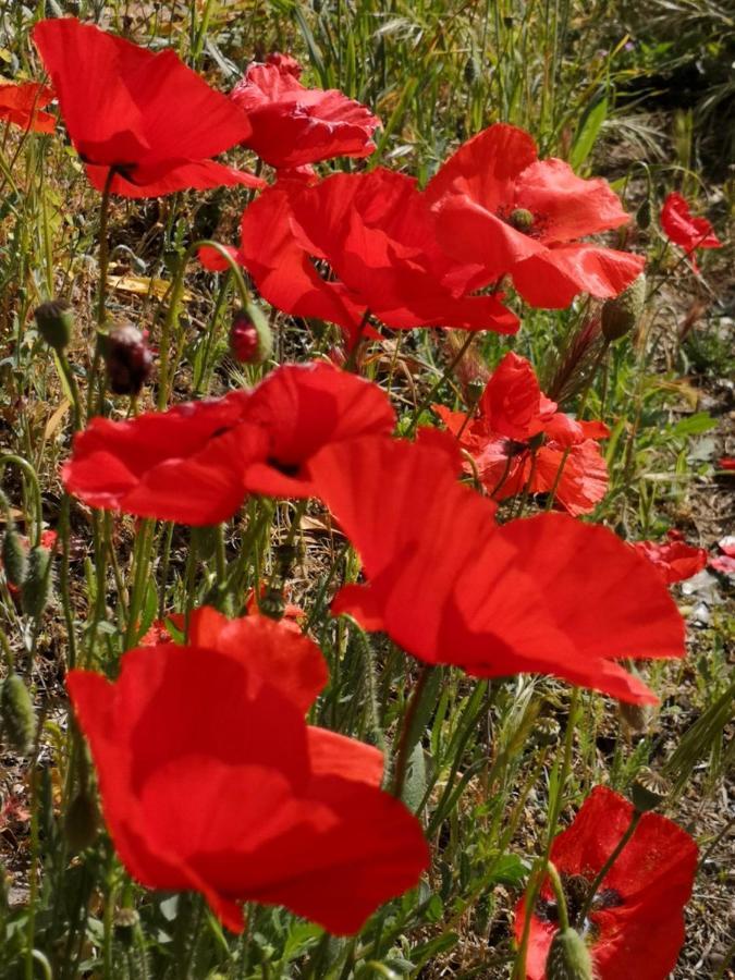 5 Min To Sea Suite Francaise Old Town Antibes Luaran gambar