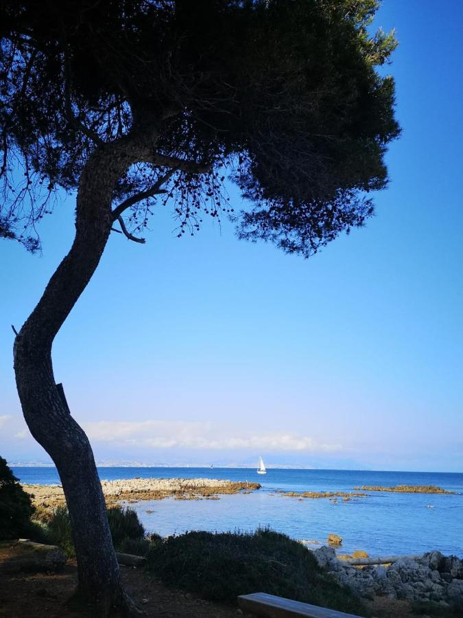 5 Min To Sea Suite Francaise Old Town Antibes Luaran gambar